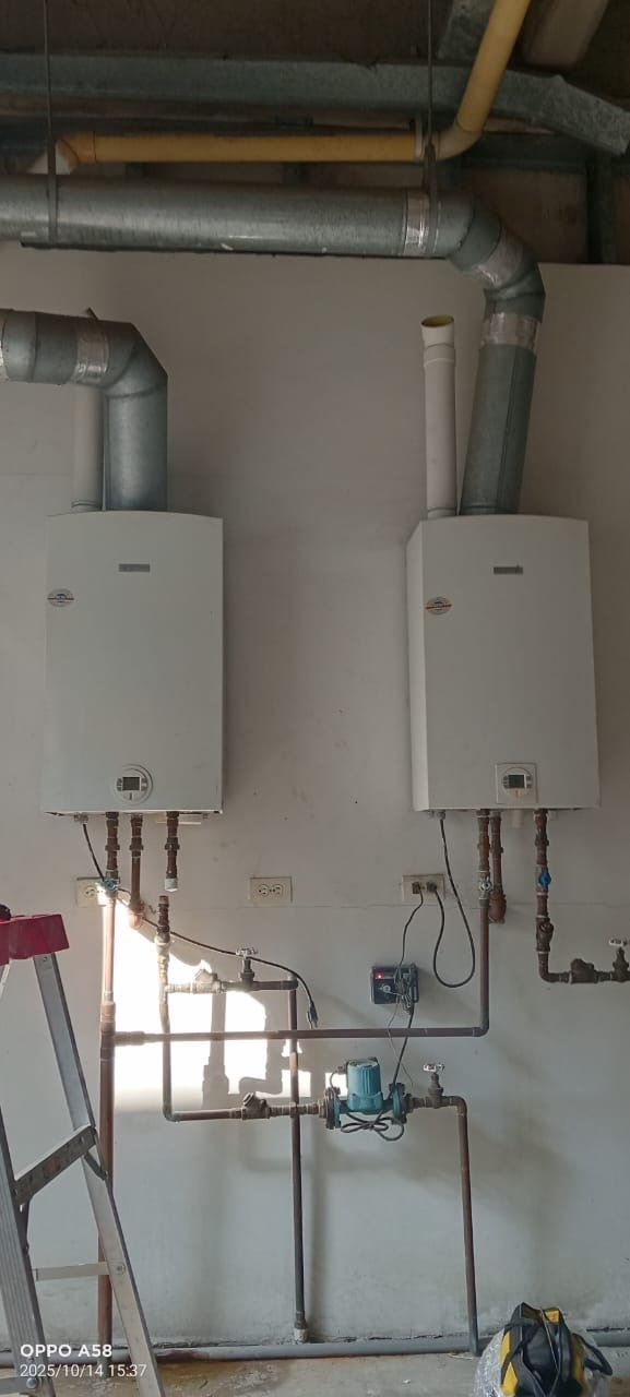 Mantenimiento de Calentadores a gas